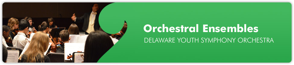 Delaware Youth Symphony Orchestra